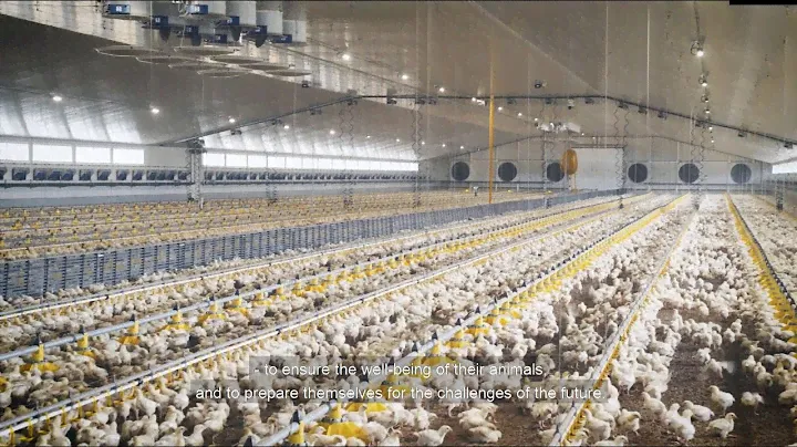 SKOV Climate and Farm Management for Poultry in Temperate Climate – French